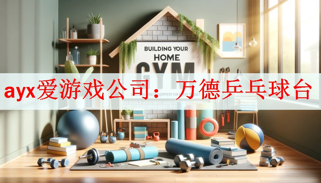 万德乒乓球台