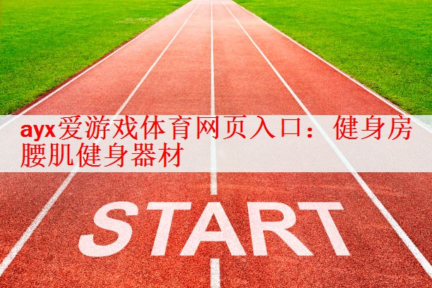 健身房 腰肌健身器材