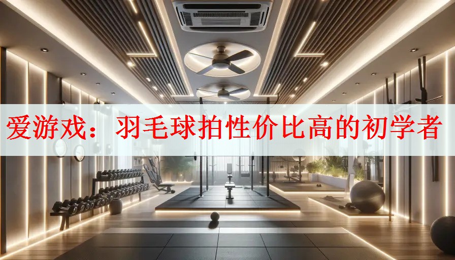 羽毛球拍性价比高的初学者