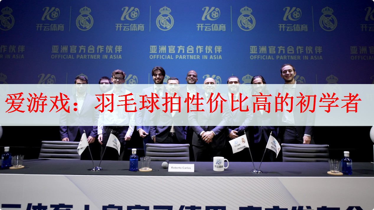羽毛球拍性价比高的初学者