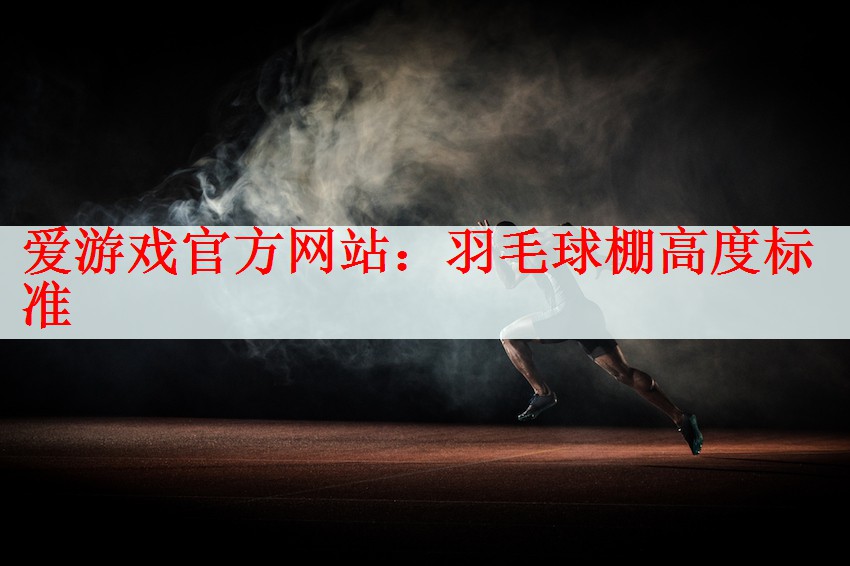 羽毛球棚高度标准